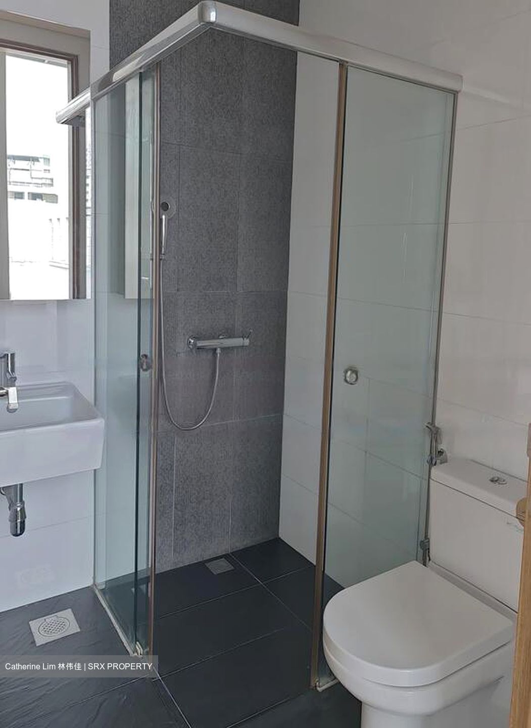 St Patrick's Residences (D15), Apartment #556392701